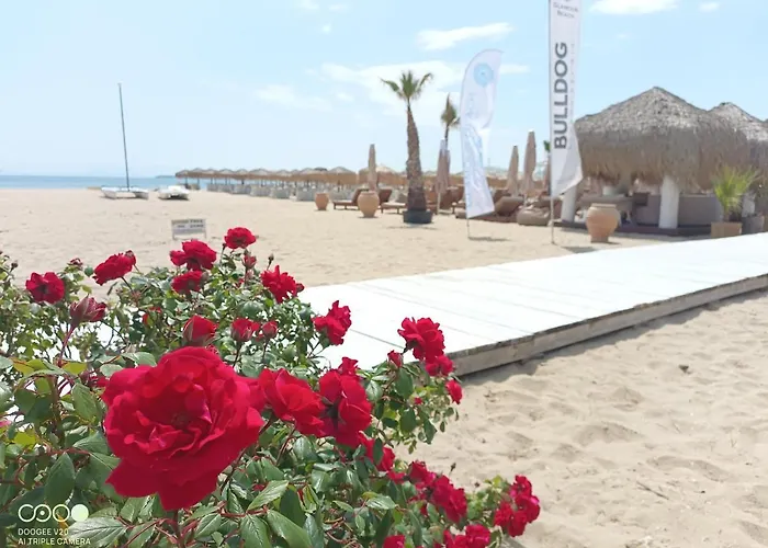 Monastery Ii Garden Like Apartament